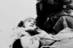 Работа 1382308