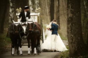 Работа 1377892