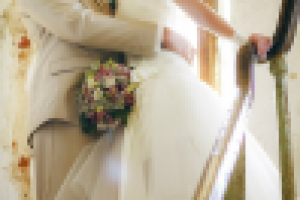 Работа 1377854