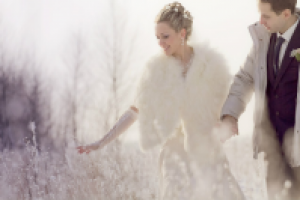 Работа 1377851