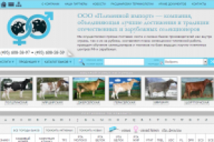 Разработка сайта про бычков