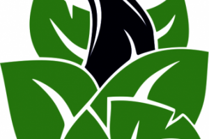 Лого - Экология