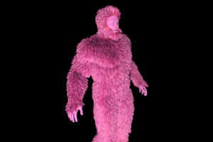 Симуляция шерсти в программе Houdini