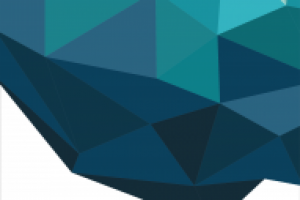 Баннер для международной организации 200х500