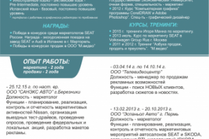 Макет собственной разработки, текст резюме на русском языке