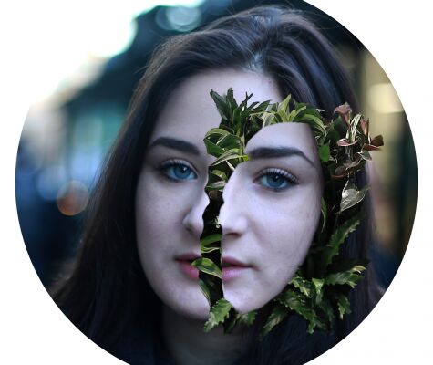 img4437336.png