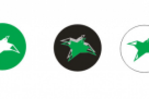 балтийская биеннале