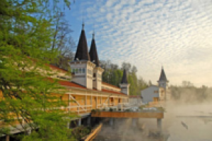 Лечение в Венгрии