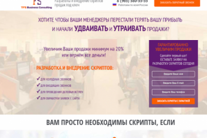 Landing Page компании по разработке скриптов продаж «TFS Busines