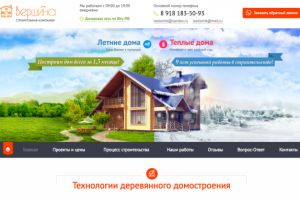 Результаты работы с сайтом lesdomik.ru