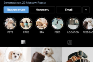 Оформление профиля в instagram