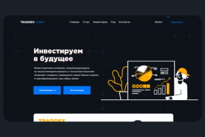 Дизайн для интвест проекта | TRADDEX Limited