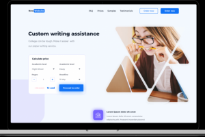 Custom writing assistance systems