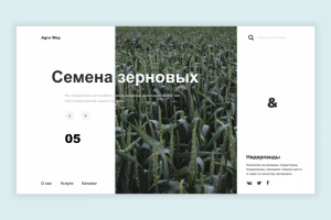 Agro Way | Сайт производителя семян