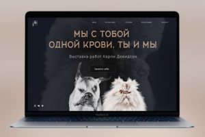 Выставка работ Карли Девидсон