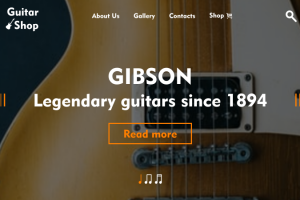 Guitar online shop