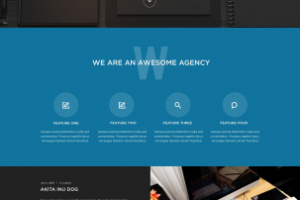 Верстка одной страницы сайта (практическая верстка)