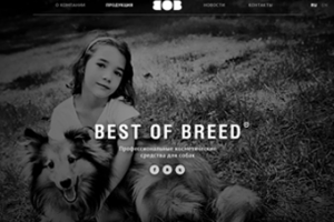 Сайт «под ключ» bestofbreed.ru