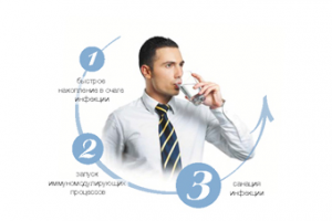 Работа 1785031