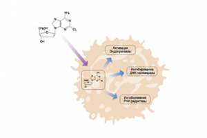 Работа 1785033