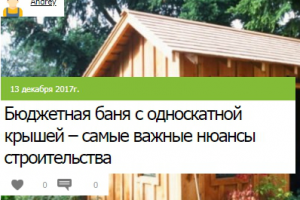 Бюджетная баня с односкатной крышей