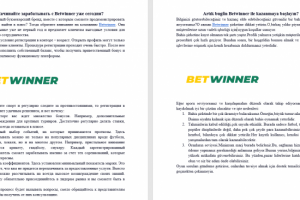 Перевод с русского языка на турецкий язык