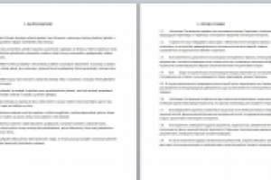 Отрывок перевода агентского соглашения