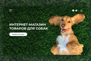 Интернет магазин товаров для собак