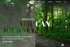 AFRICAN JOURNEY