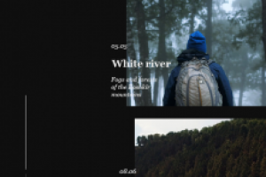 Работа 3792872