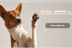 Минималистичный дизайн сайта