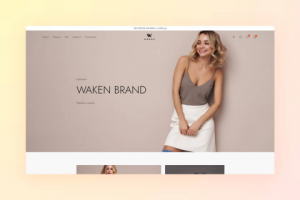 Создание сайта на WP (WAKENBRAND)