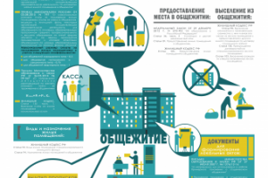 Инфографика об общежитии