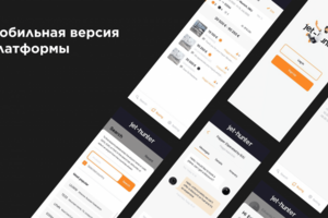 Мобильная версия платформы «Jet-Hunter»