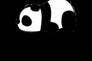 Логотип "Panda"