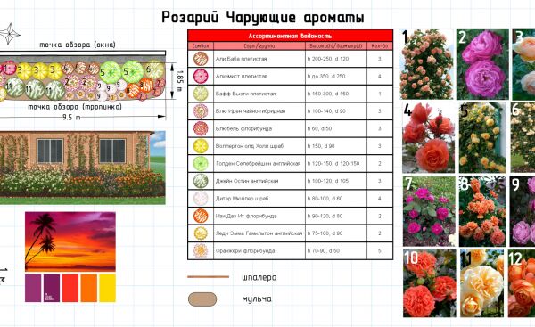 img4423898.png