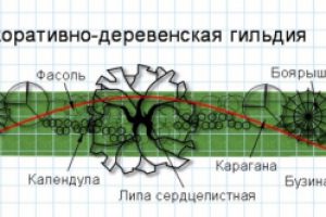 План ДКК У дороги