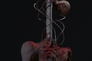 Siren head