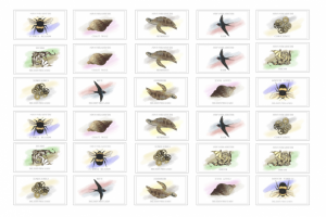 Стикерпаки