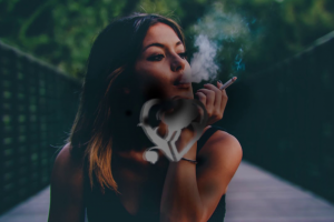 Аранжировка