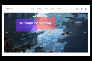 Разработка дизайна сайта "Criptonit - nft"