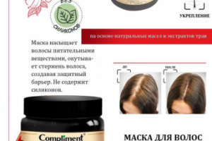 Инфографика