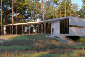 Домик в лесу по мотивам проекта D12 ARCHITECTS