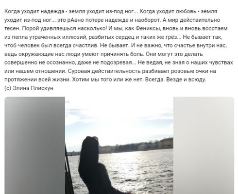 img4433833.png