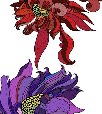 img3675734.png