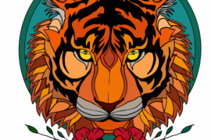 Для приложения(раскраска)