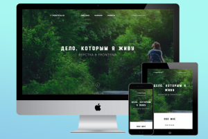 Портфолио frontend-разработчика