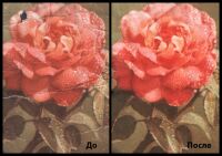 img702644.png