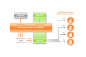 Схемы для презентации компании RIMENT
