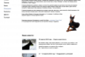 макет сайта питомника доберманов Black Stranger (главная)